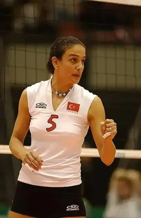 Aysun Özbek Kimdir?