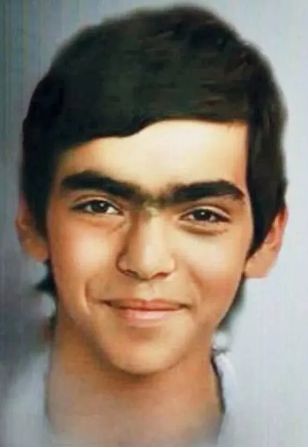 Berkin Elvan Kimdir?