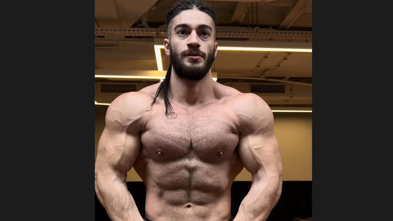 Testo Taylan Kimdir? 